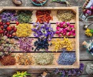 داروخانه آنلاین گیاهان دارویی و طب سنتی