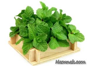 5 روش استفاده از نعنای تازه