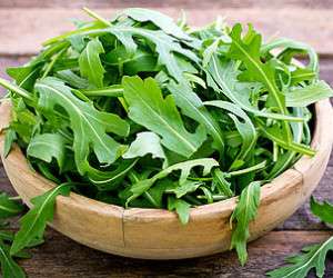 خواص ، فواید و مزایای منداب و اثرات جانبی آن