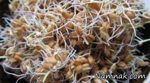 خواص جوانه گندم در درمان سرماخوردگی