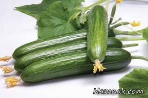 خیار گلخانه ای بهتر است یا مزرعه ای؟