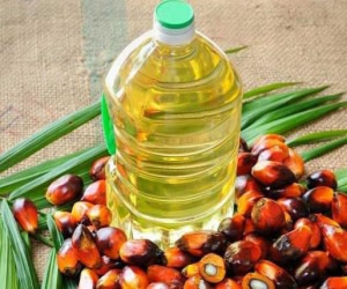 روشی ساده برای تشخیص وجود روغن پالم داخل روغن مصرفی