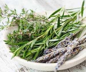 بررسی عوارض ، فواید و خواص رزماری