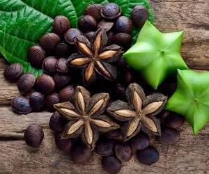 روغن اینکا اینچی و جوانسازی پوست