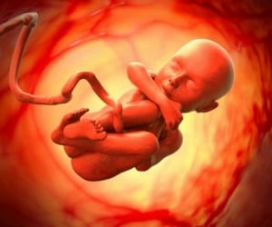 پیش بینی سلامت جنین را با یک آزمایش ساده