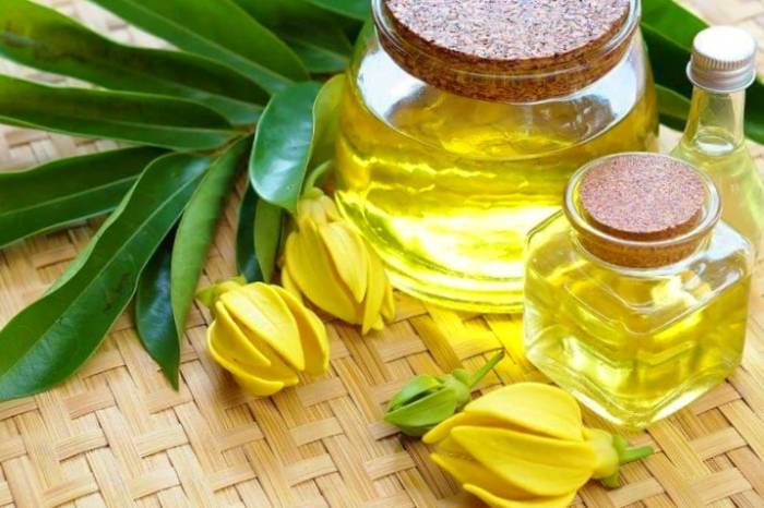 تمام فواید و عوارض جانبی روغن و گل یلانگ یلانگ خواص یلانگ یلانگ