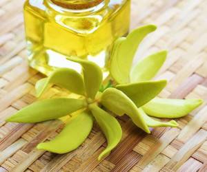 بررسی کامل گیاه یلانگ و روغن یلانک