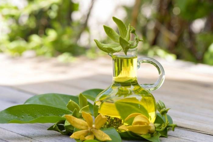 خواص روغن یلانگ یلانگ خواص یلانگ یلانگ