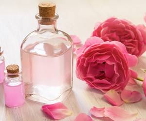 با خواص شگفت انگیز گلاب برای بدن آشنا شوید