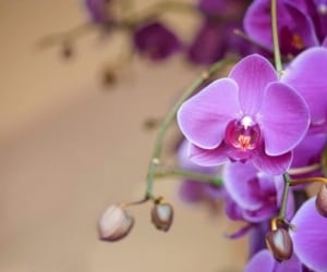 نکاتی که شما را به زیباترین فرد تبدیل می کند