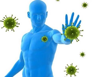 تقویت سیستم ایمنی را شروع کنید