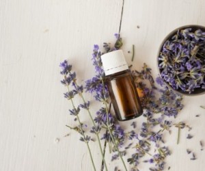 تعادل هورمونی در بانوان با مصرف روغن های گیاهی