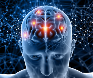 آشنایی با جزئیات و آناتومی شگفت انگیز مغز انسان