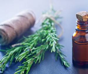 چگونه عصاره الکلی رزماری را در خانه درست کنیم و سلول های مرده را از بین ببریم؟