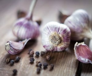 راهنما و روش پاکسازی کبد با سیر