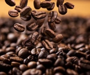 نحوه نگهداری از قهوه