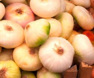 معجزه ای به نام موسیر ایرانی