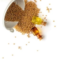خواص روغن خردل و مزایای شگفت انگیز روغن خردل برای سلامتی، پوست و مو