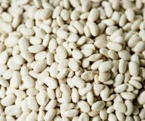 لوبیا سفید چیست و چه خواص و فوایدی برای بدن دارد