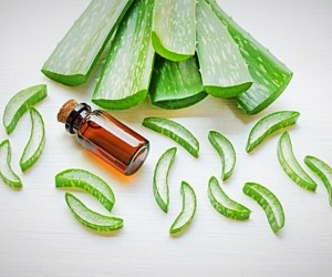 روغن آلوئه ورا چیست و چه خواصی دارد؟