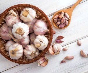 دارو های گیاهی فوق العاده ضد سرطانی&nbsp;