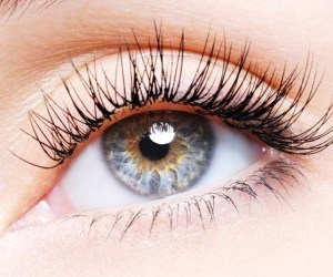 دلیل وجود قسمت صورتی رنگ در گوشه ی چشم&nbsp;&nbsp;&quot; پلیکا سمیلوناریس &quot;چیست ؟