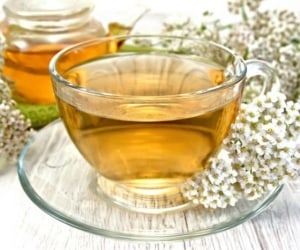 خواص و فواید شگفت انگیز چای بومادران