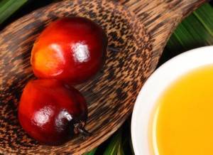 روغن پالم چیست؟