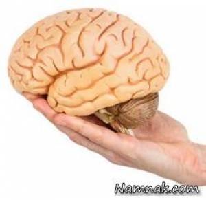 9 ماده ی غذایی طبیعی و گیاهی برای محافظت از مغز در شرایط خاص