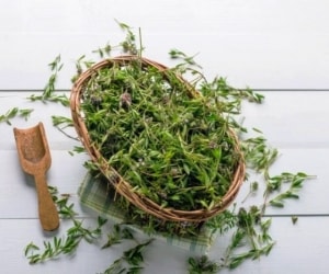 خواص و فواید آویشن گیاه قوی برای درمان بیماری ها