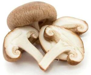نگهداری و استفاده صحیح قارچ