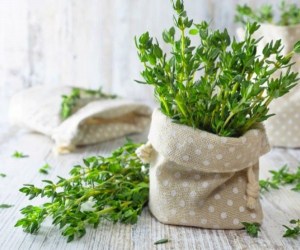 خواص گیاه دارویی آنخ