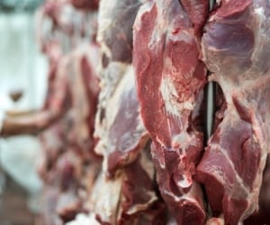 اهمیت جایگزین کردن چربی های اشباع شده با مغزها