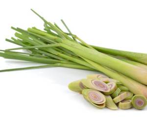 علف لیمو چیست و چه خواصی دارد؟