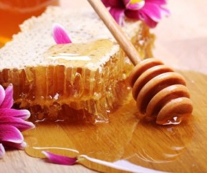 عسل قوی ترین ضدعفونی کننده دنیا&nbsp;