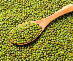 شناخت طبع ماش و مصلحات آن
