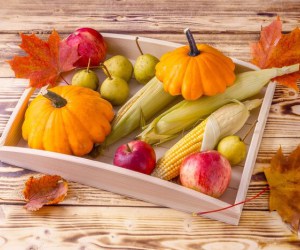 تغذیه سالم و بهترین مواد غذایی برای تقویت سیستم ایمنی بدن در فصل پاییز