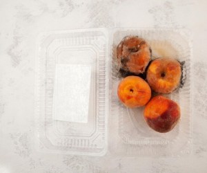 عوارض خوردن کپک و واکنش بعد به این اشتباه