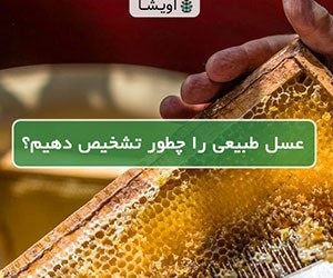 راهنمای خرید و تشخیص عسل طبیعی و اصل