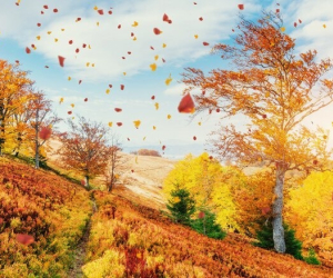فواید پاییز و عوارض فصل پاییز برای ما