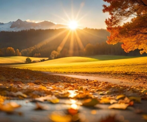 خواص آفتاب پاییز برای سلامت جسم و آرامش اعصاب