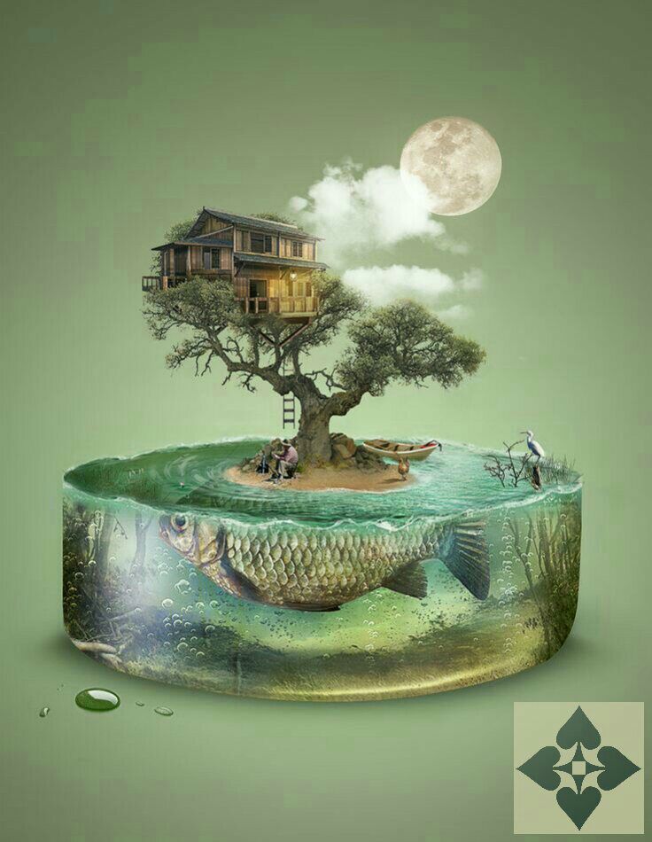 توجه به درون بدن : راهی برای تسکین درد و تنش (interoceptive awareness)