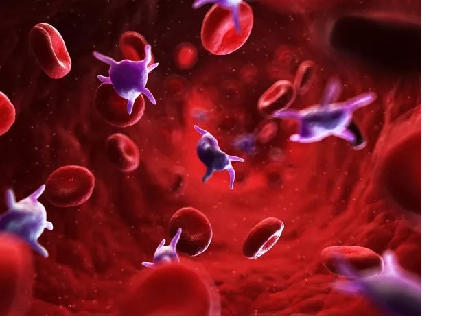 علائم و علل کاهش تعداد پلاکت