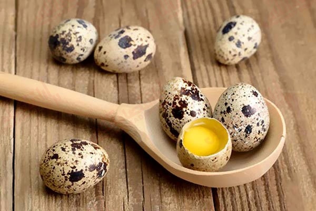 تخم بلدرچین به بهبود علائم آلرژیکی کمک می کند!