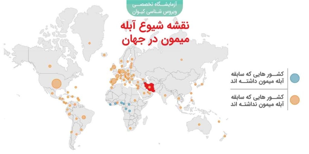 آبله میمونی به ایران هم رسید؛ علائم، پیشگیری و درمان فوری