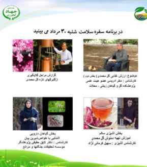 مصرف گل محمدي  موجب آرامش روان و طراوت  پوست صورت می شود 