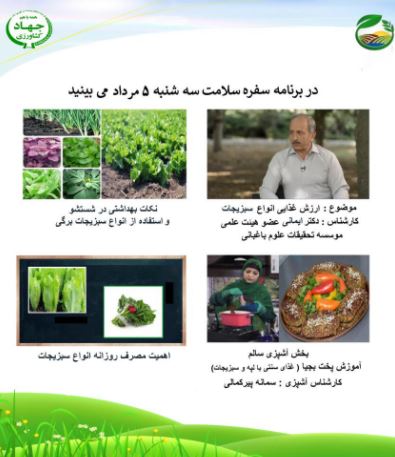 نکات بهداشتی در شستشو و استفاده از انواع سبزیجات برگی 