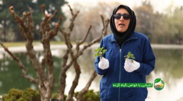 گیاه گزنه برای درمان  سرماخوردگی وبیماری های دستگاه تنفسی بسیار مفید است(تصویر دارد) 