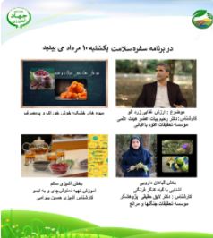 ارزش غذایی زردالو و اشنایی با گیاه کنگرفرنگی 