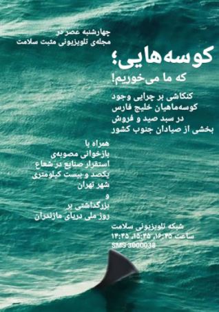 کوسه هایی که ما می خوریم 